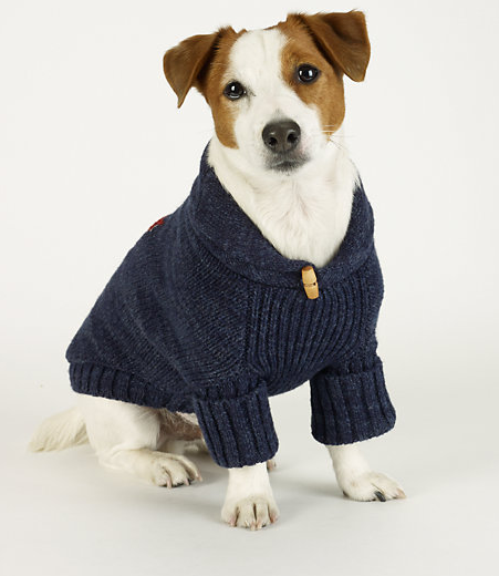 Комбинезон для собак джек рассел. Одежда для собак джек рассел терьер. Вязаный костюм для джек рассела. Одежда для собак джек рассел терьер. Комбинезон для джек рассел терьера.